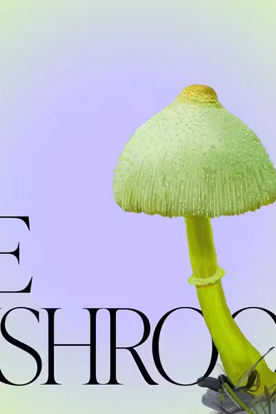 Mushroom Magic