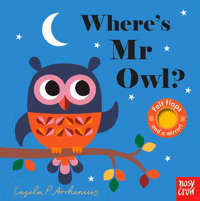 Where's Mr Owl?