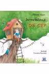 Intrebarile de ce?