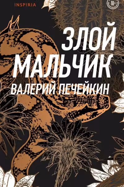 Злой мальчик