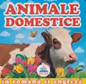 Primele notiuni Animale domestice