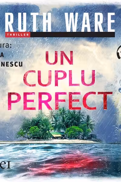 Un cuplu perfect (audiobook)