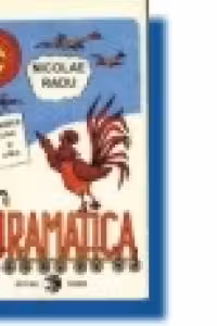 Gramatica - Ghid didactic pentru clasele a II-a si a III-a