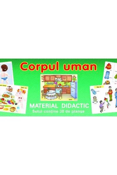 Planșe. Corpul uman (30 planșe)