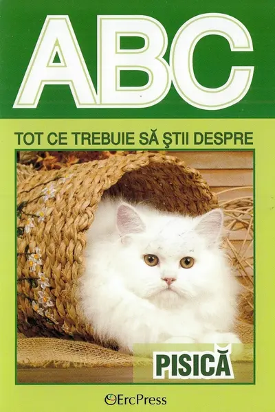 ABC Tot ce trebuie să știi despre pisică