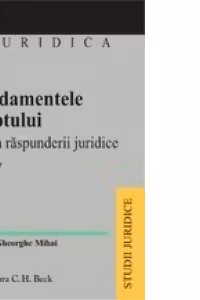 Fundamentele dreptului. Teoria raspunderii juridice - volum V