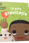 Ce este gravitatia
