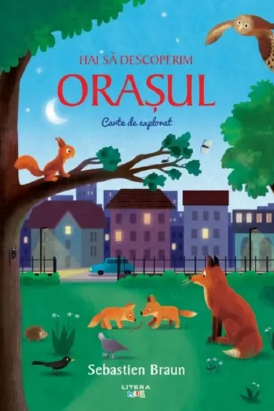 HAI SA DESCOPERIM ORASUL. Carte de explorat. Sebastien Braun