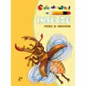 Insecte