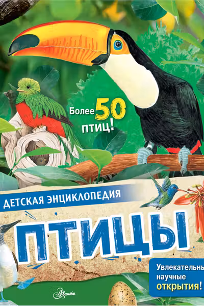 Птицы