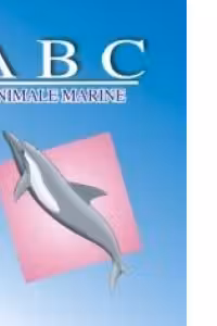 ABC Animale marine
