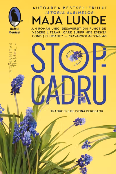 Stop-cadru