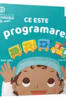 Ce este programarea