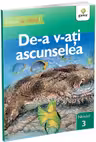 De-a v-ati ascunselea