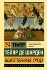 Божественная среда
