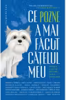 Ce pozne-a mai facut catelul meu