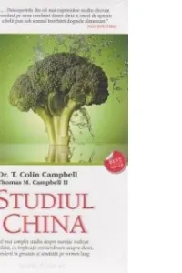 Studiul China