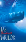Marele atlas ilustrat al marilor