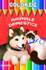 Colorez. Animale domestice.