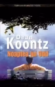 Noaptea lui Odd
