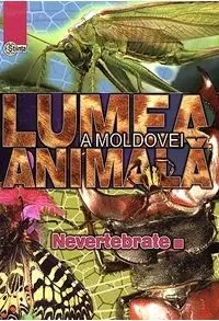 Lumea animala a Moldovei. Nevertebrate