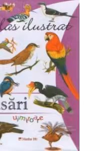 Atlas ilustrat cu ... PASARI uimitoare