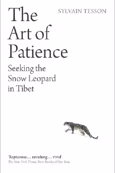 The Art of Patience