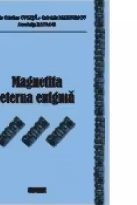 Magnetita eterna enigma