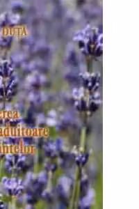 Puterea tamaduitoare a plantelor