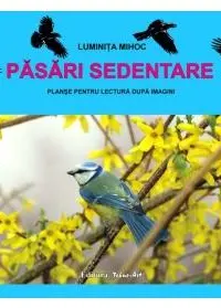 Păsări sedentare - Planșe