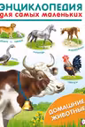 Фламинго. Домашние животные
