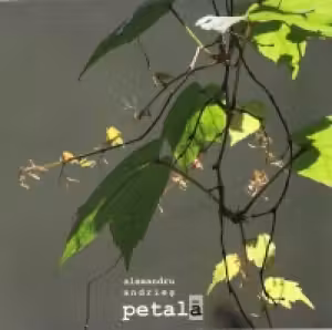 Petala (carte)