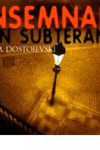 Insemnari din subterana (Audiobook)