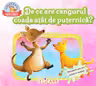 De ce are cangurul coada atat de puternica?