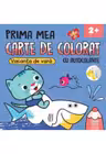 PRIMA MEA CARTE DE COLORAT CU AUTOCOLANTE. VACANTA DE VARA