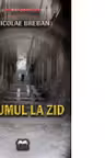 Drumul la zid