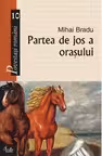Partea de jos a orasului