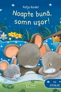 Noapte buna, somn usor!