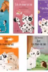 Pachet Jup, un pisoi de soi (5 volume): 1. Jboara, Costica, jboara!, 2. Orice pentru budinca, 3. Jup si dragonul de fier, 4. Un musafir surpriza, 5. Jup cel independent