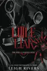 Little Liar. The Web of Silence Duet, Volume 2