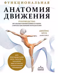 Функциональная анатомия движения. Руководство по анализу биомеханики и работе с миофасциальными меридианами