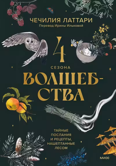 4 сезона волшебства. Тайные послания и рецепты нашептанные лесом