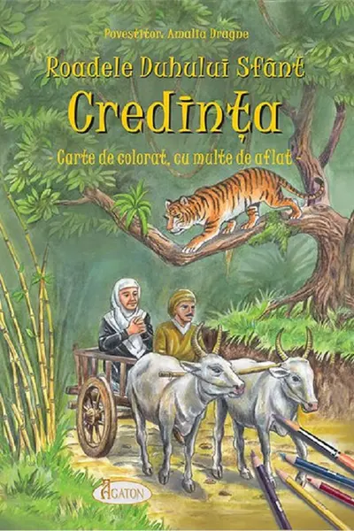 Roadele Duhului Sfânt Vol.4: Credința