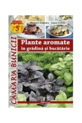 Plante aromatice in gradina si bucatarie
