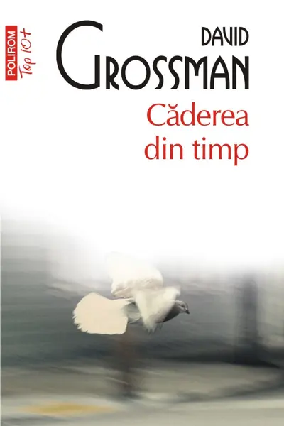 Caderea din timp - O poveste pe mai multe voci