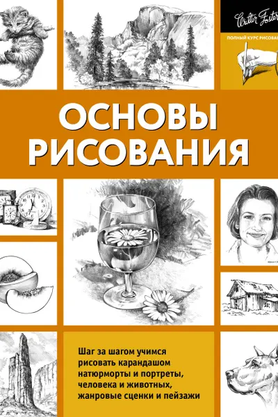 Основы рисования