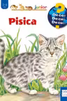Pisica