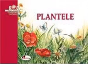 Plantele