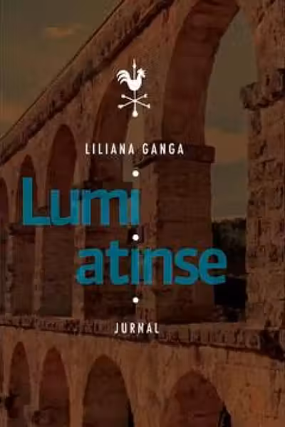 Lumi atinse jurnal