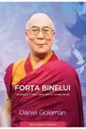 Forta binelui - Viziunea lui Dalai Lama pentru lumea de azi